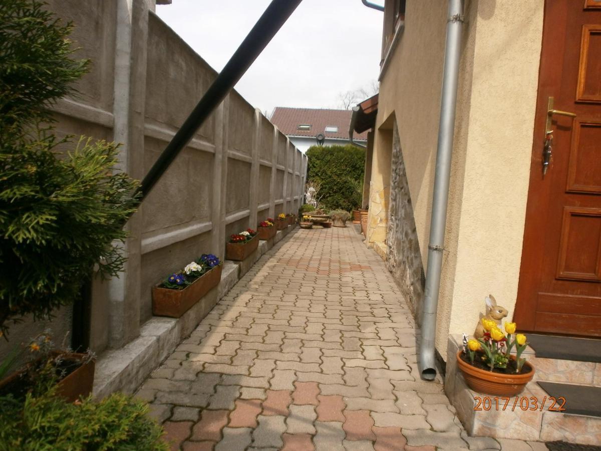Flamingo Apartman Ödenburg Exterior foto